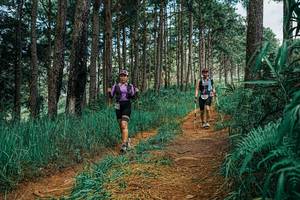 BIB: 
                            <button type="button" onclick="openModal(25751961)" class="btn btn-primary btn-sm float-right btn-popup" data-toggle="modal" data-target=".modal-high-quality">
                        <i class="fas fa-shopping-cart"></i> Add to Cart
                    </button>
                                            <button type="button" onclick="isThisMe(25751961, true)" class="btn btn-success btn-sm float-right btn-popup btn-isme hidden" data-toggle="tooltip" data-placement="bottom" title="นี่คือรูปของคุณใช่ไหม คลิกที่นี่เพื่อเอาเข้าอัลบั้ม">
                        <i class="fas fa-plus"></i> Add to album
                    </button>
                    <button type="button" onclick="isThisMe(25751961, false)" class="btn btn-warning btn-sm float-right btn-popup btn-isnotme hidden">
                        <i class="fas fa-ban"></i> Remove from album
                    </button>